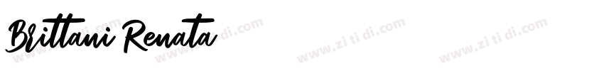 Brittani Renata字体转换